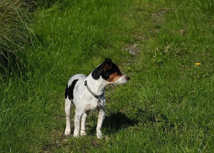 Engbjerg Bnb