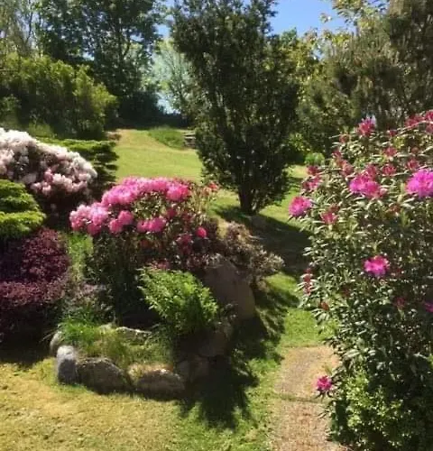 Bjergby Bed & Breakfast